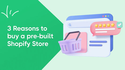 3 Reasons to Buy a Pre-Built Shopify Dropshipping Website in 2024